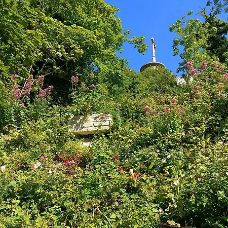 La Petite Normandy Vue